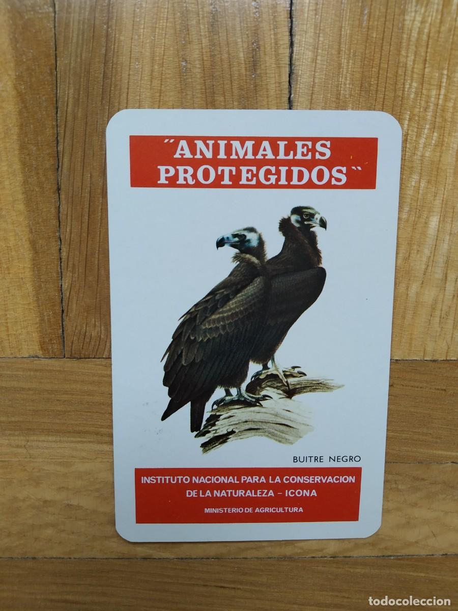 Coleccionismo calendarios: CALENDARIO FOURNIER ICONA ANIMALES PROTEGIDOS BUITRE NEGRO A&Ntilde;O 1975 VER FOTOS NUEVO