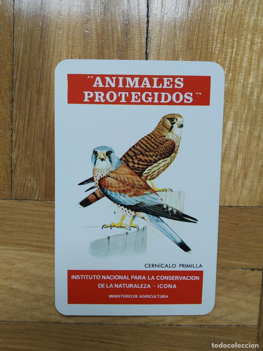 Coleccionismo calendarios: CALENDARIO FOURNIER ICONA ANIMALES PROTEGIDOS CERNICALO PRIMILLA A&Ntilde;O 1975 VER FOTOS NUEVO