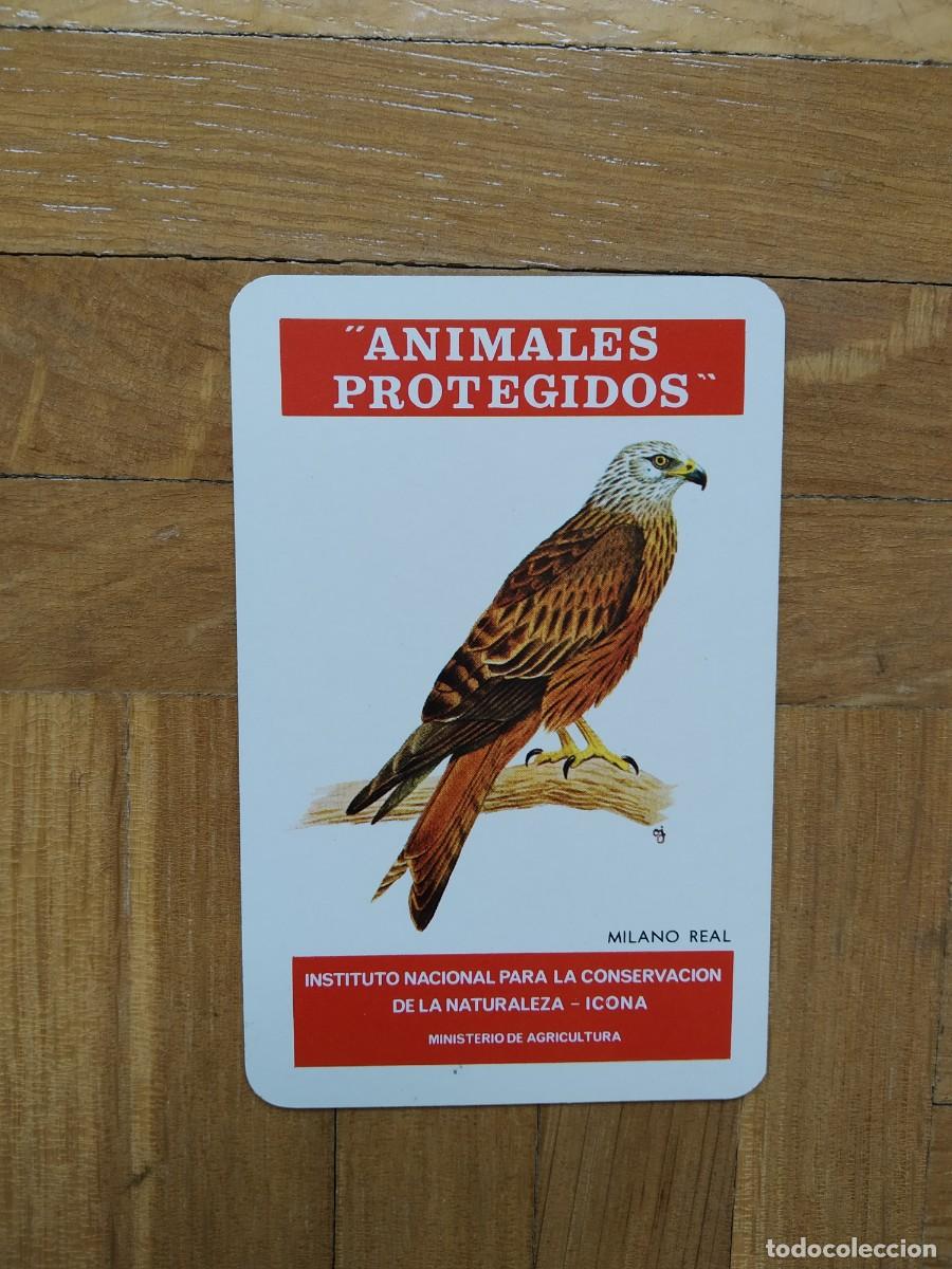 Coleccionismo calendarios: CALENDARIO FOURNIER ICONA ANIMALES PROGETIDOS MILANO REAL A&Ntilde;O 1975 VER FOTOS NUEVO