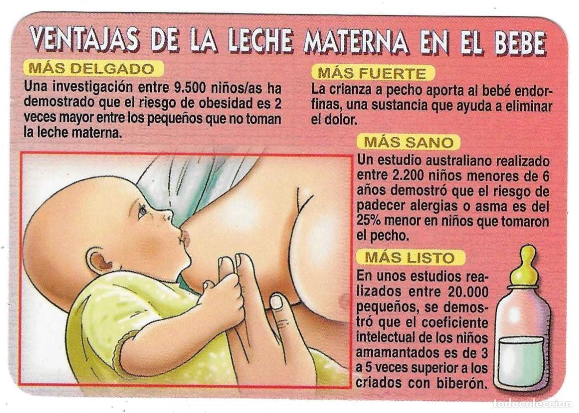 Colecionismo Calend&aacute;rios: Calendario a&ntilde;o 2006. Ventajas de la leche materna en el Bebe. ref. 11-06egc112