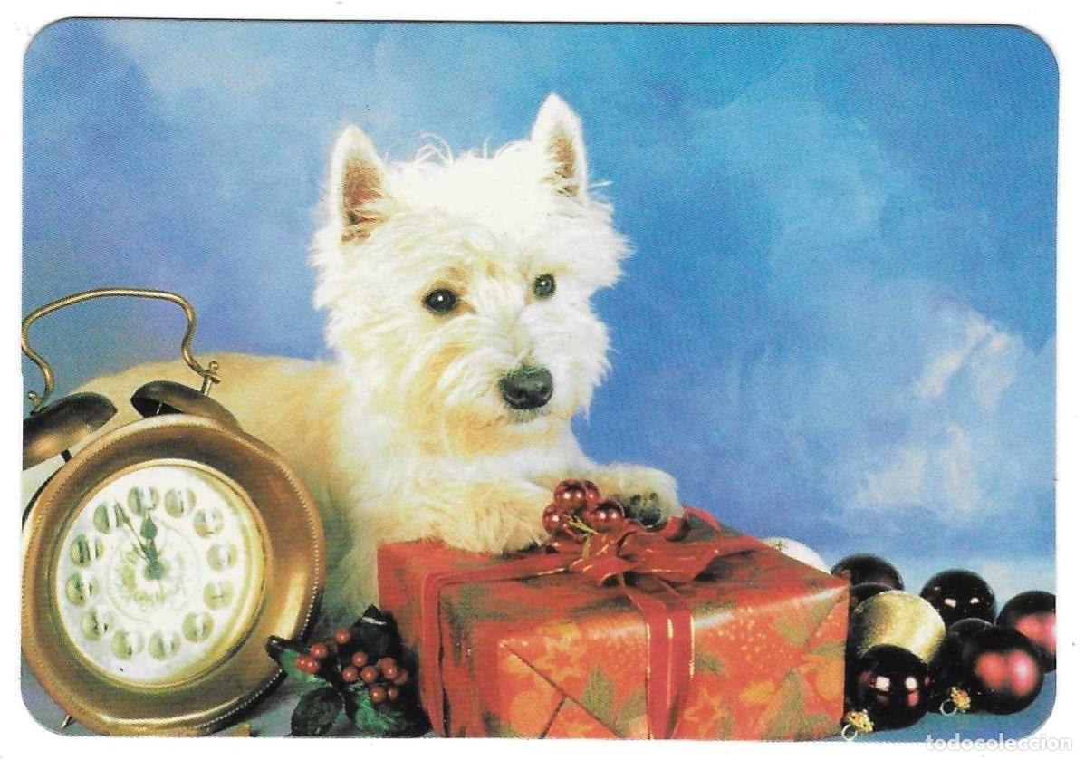 Coleccionismo calendarios: Calendario a&ntilde;o 2004. Perro y Gato. ref. 11-04egc52