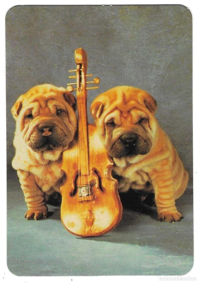 Coleccionismo calendarios: Calendario a&ntilde;o 2004. Perro y Viol&iacute;n. ref. 11-04egc53