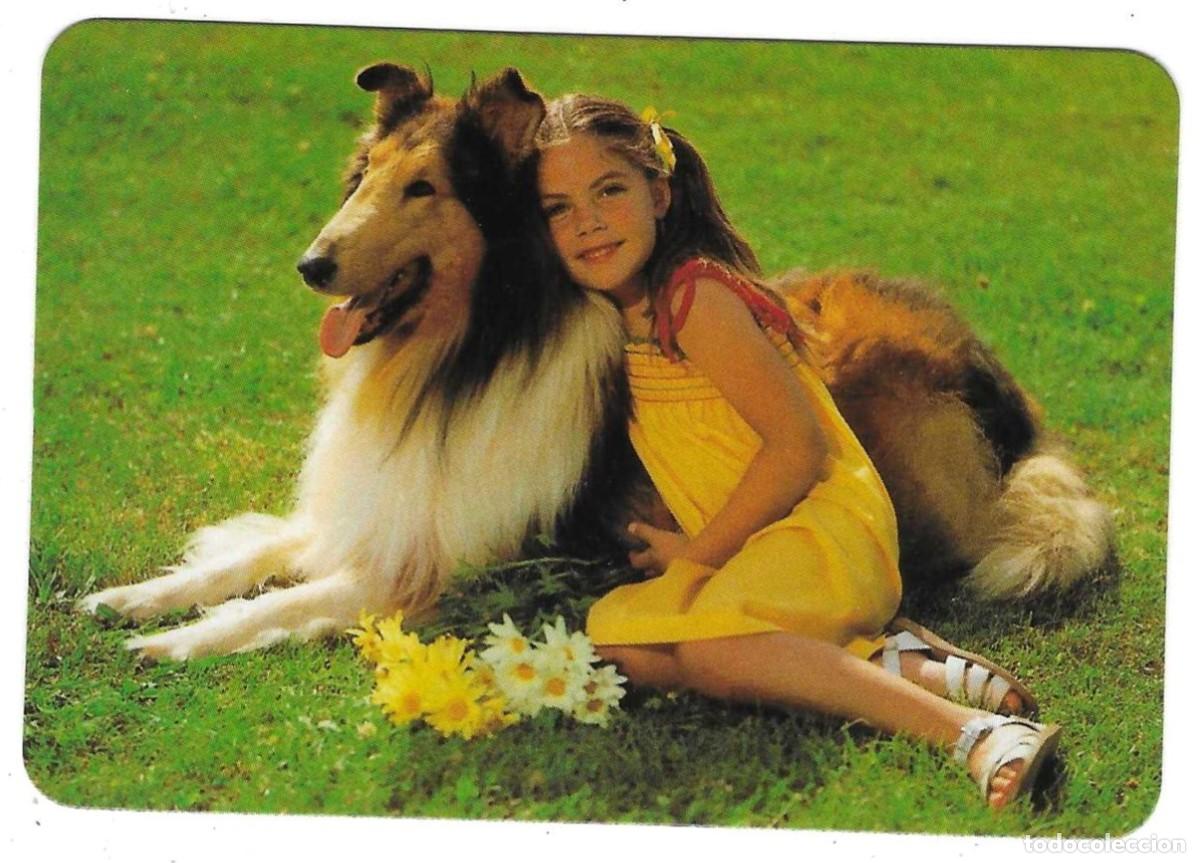 Coleccionismo calendarios: Calendario a&ntilde;o 2004. Ni&ntilde;a con perro. ref. 11-04egc84