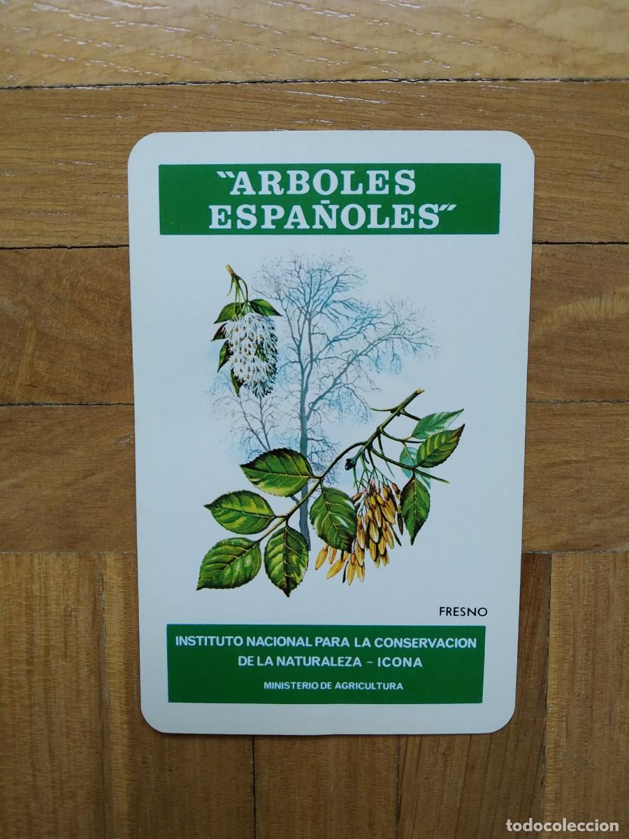 Colecionismo Calend&aacute;rios: CALENDARIO FOURNIER ICONA ARBOLES ESPA&Ntilde;OLES FRESNO A&Ntilde;O 1976 VER FOTOS COMO NUEVO