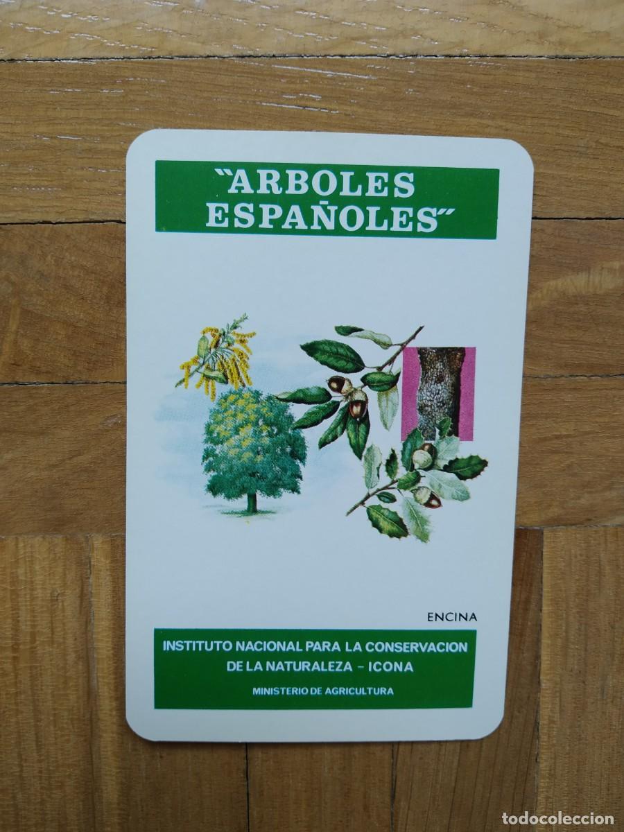 Colecionismo Calend&aacute;rios: CALENDARIO FOURNIER ICONA ARBOLES ESPA&Ntilde;OLES ENCINA A&Ntilde;O 1976 VER FOTOS NUEVO