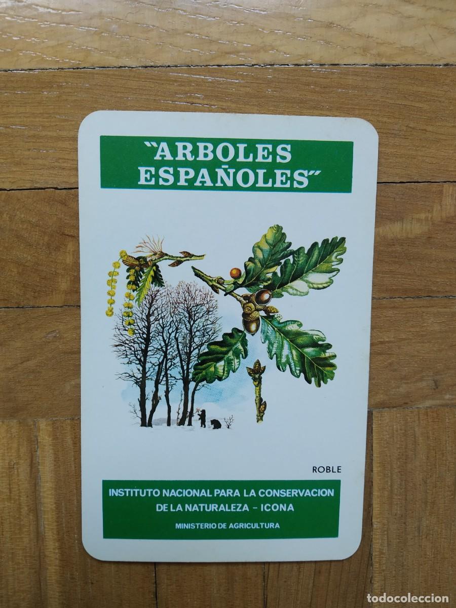 Colecionismo Calend&aacute;rios: CALENDARIO FOURNIER ICONA ARBOLES ESPA&Ntilde;OLES ROBLE A&Ntilde;O 1976 VER FOTOS NUEVO