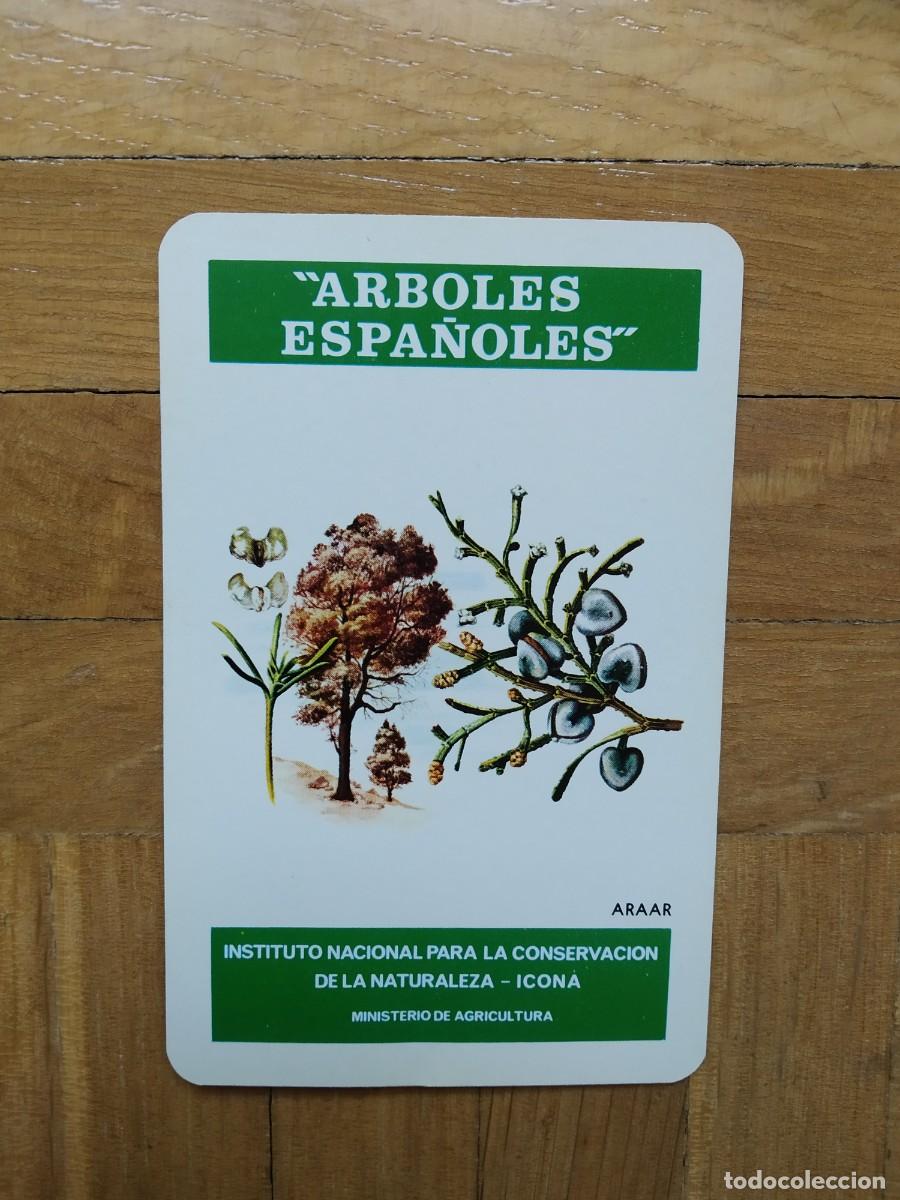 Colecionismo Calend&aacute;rios: CALENDARIO FOURNIER ICONA ARBOLES ESPA&Ntilde;OLES ARAAR A&Ntilde;O 1976 VER FOTOS NUEVO