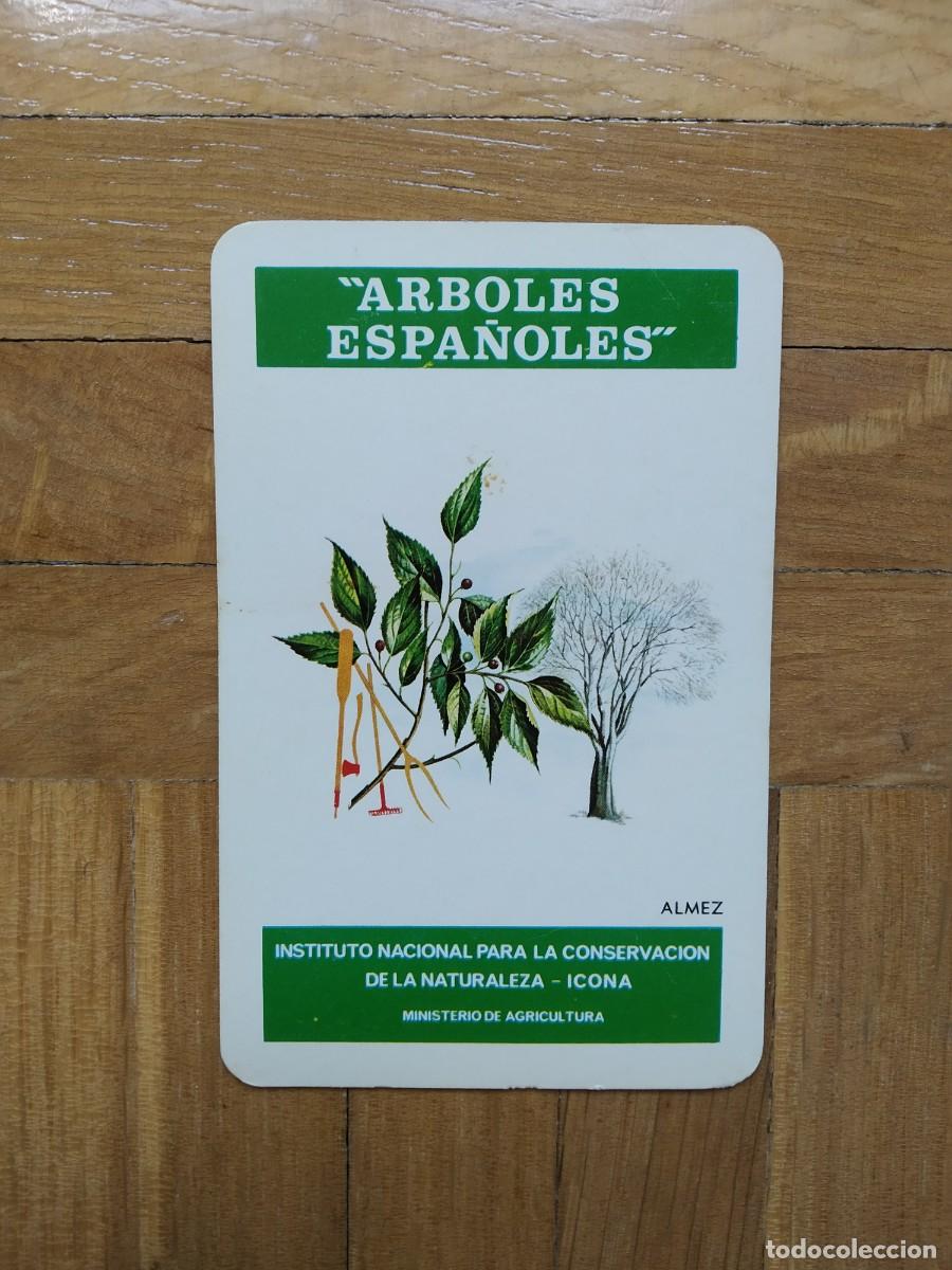 Colecionismo Calend&aacute;rios: CALENDARIO FOURNIER ICONA ARBOLES ESPA&Ntilde;OLES ALMEZ A&Ntilde;O 1976 VER FOTOS NUEVO