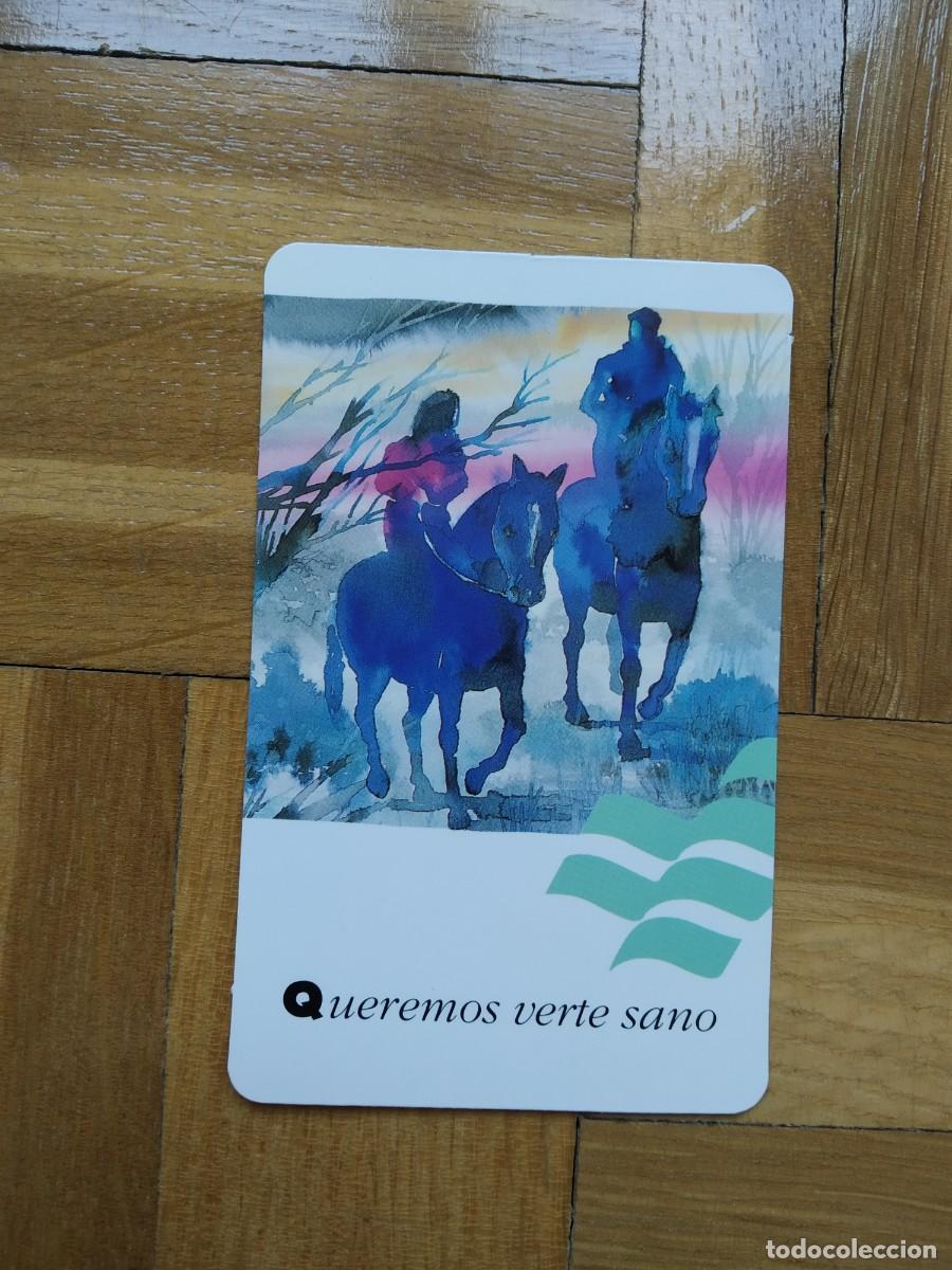 Collectables Calendars: CALENDARIO DE SEGUROS ADESLAS SUCURSAL MALAGA A&Ntilde;O 1993 VER FOTOS NUEVO