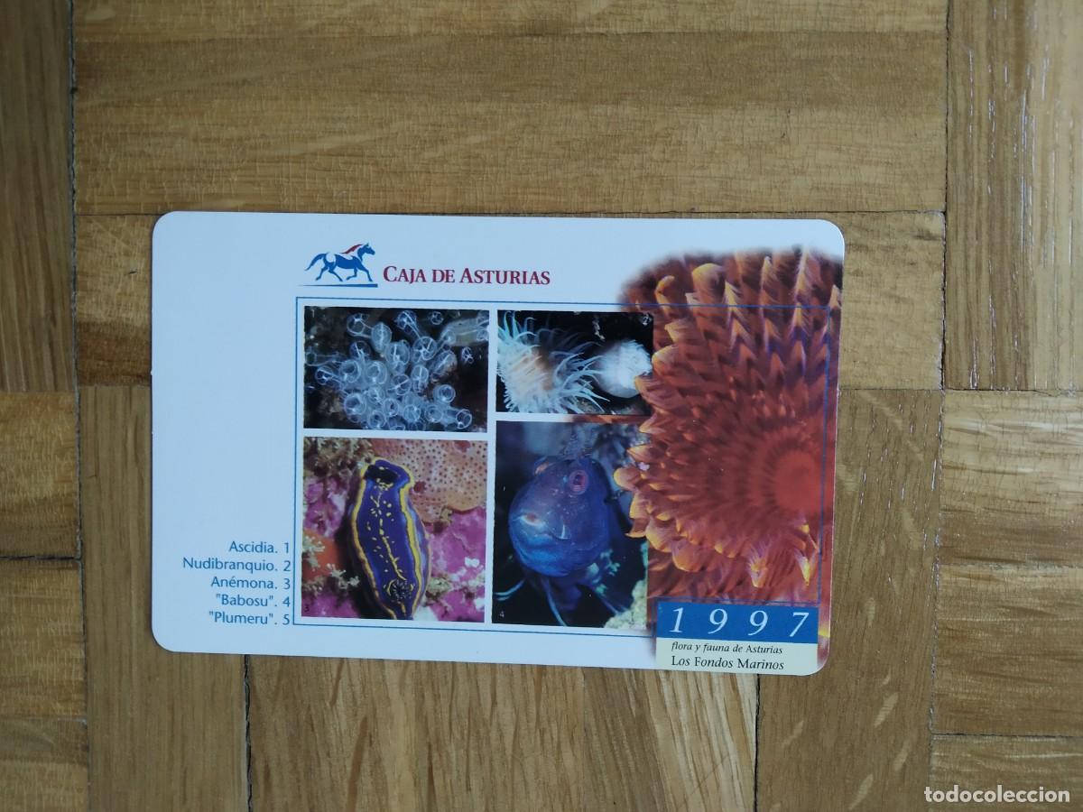 Collectables Calendars: CALENDARIO DE BANCOS Y CAJAS. CAJA ASTURIAS FLORA Y FAUNA DE ASTURIAS A&Ntilde;O 1997 VER FOTOS
