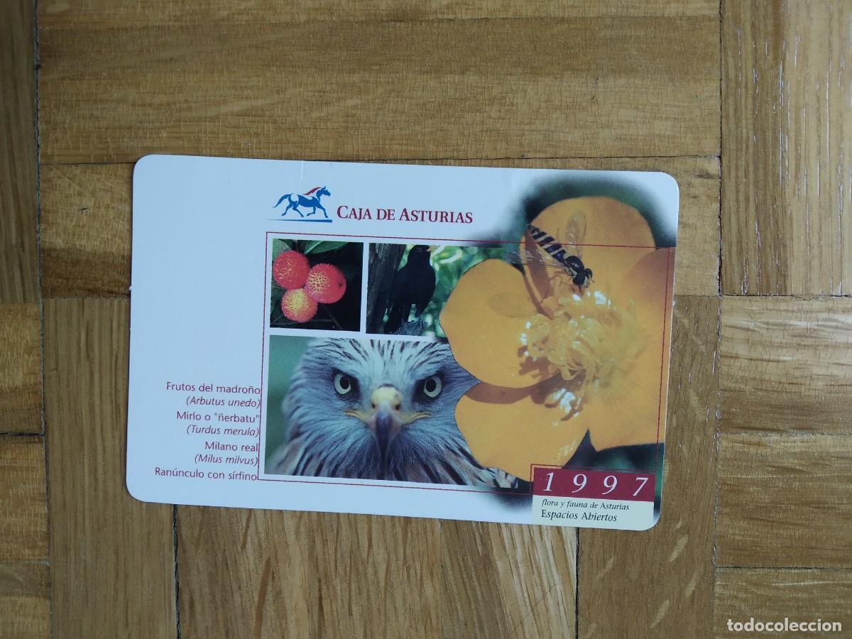 Collectables Calendars: CALENDARIO DE BANCOS Y CAJAS. CAJA ASTURIAS FLORA Y FAUNA DE ASTURIAS A&Ntilde;O 1997 VER FOTOS