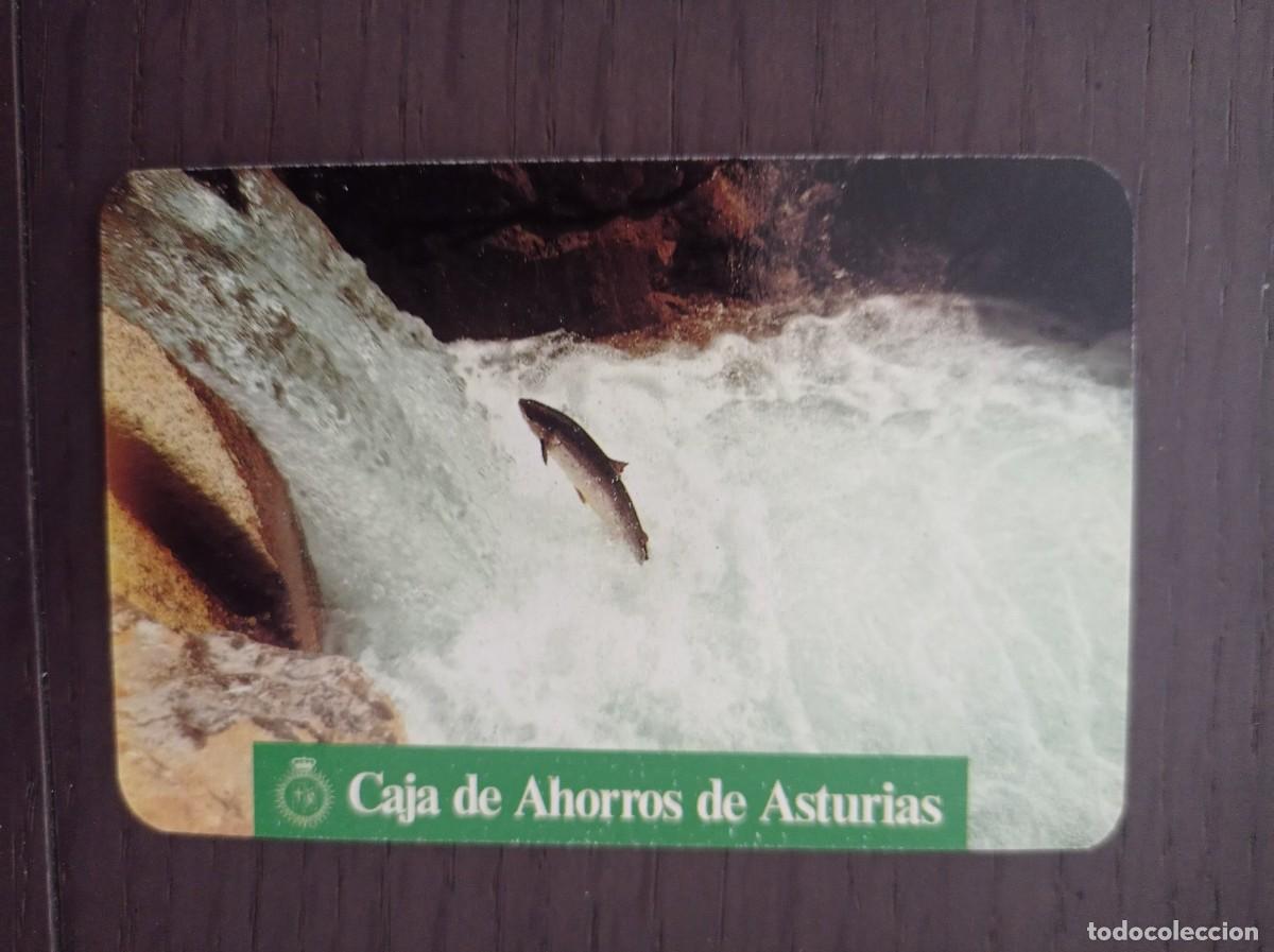 Coleccionismo calendarios: CALENDARIO PUBLICITARIO. CAJA DE AHORROS DE ASTURIAS. FAUNA ASTURIANA. EL SALM&Oacute;N. A&Ntilde;O 1990