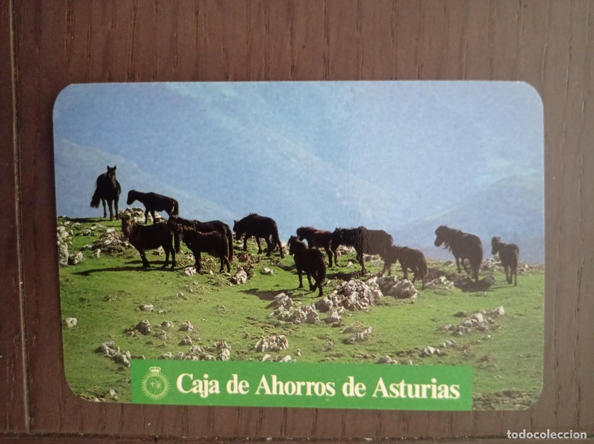 Coleccionismo calendarios: CALENDARIO PUBLICITARIO. CAJA DE AHORROS DE ASTURIAS. FAUNA ASTURIANA. EL ASTURC&Oacute;N. A&Ntilde;O 1990