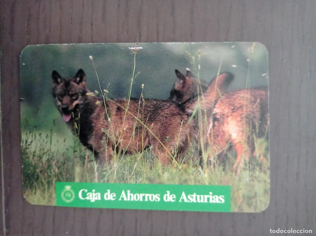Coleccionismo calendarios: CALENDARIO PUBLICITARIO. CAJA DE AHORROS DE ASTURIAS. FAUNA ASTURIANA. EL LOBO. A&Ntilde;O 1990