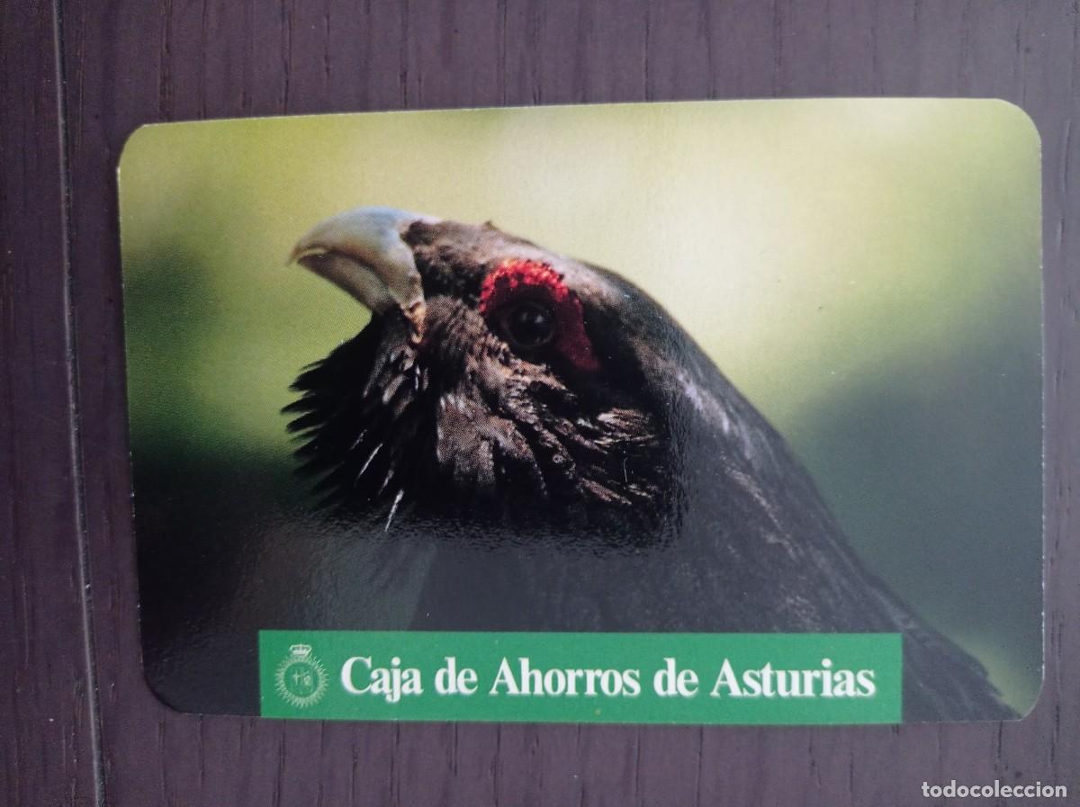 Coleccionismo calendarios: CALENDARIO PUBLICITARIO. CAJA DE AHORROS DE ASTURIAS. FAUNA ASTURIANA. EL UROGALLO. A&Ntilde;O 1990