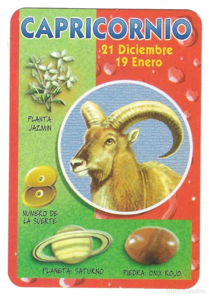 Coleccionismo calendarios: Calendario a&ntilde;o 2005. serie rr n&ordm; 114. Hor&oacute;scopo. Capricornio. ref. 11-05rr114
