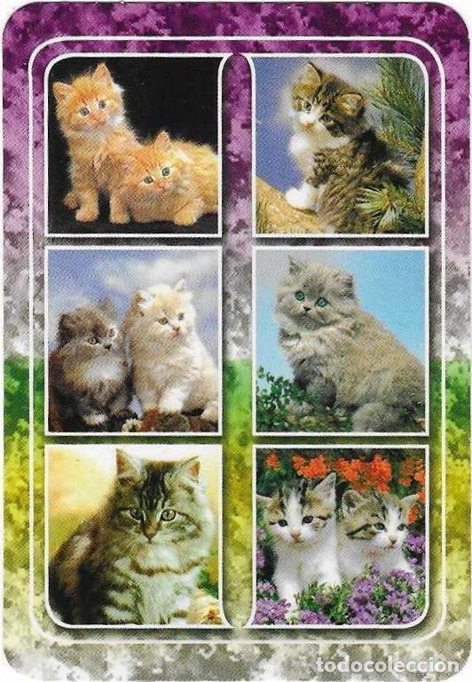Coleccionismo calendarios: Calendario a&ntilde;o 2007. serie rr n&ordm; 48. Gatos. ref. 11-07rr48