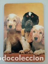 Collezionismo Calendari: Calendarios 1998 Serie EGC 63 perros