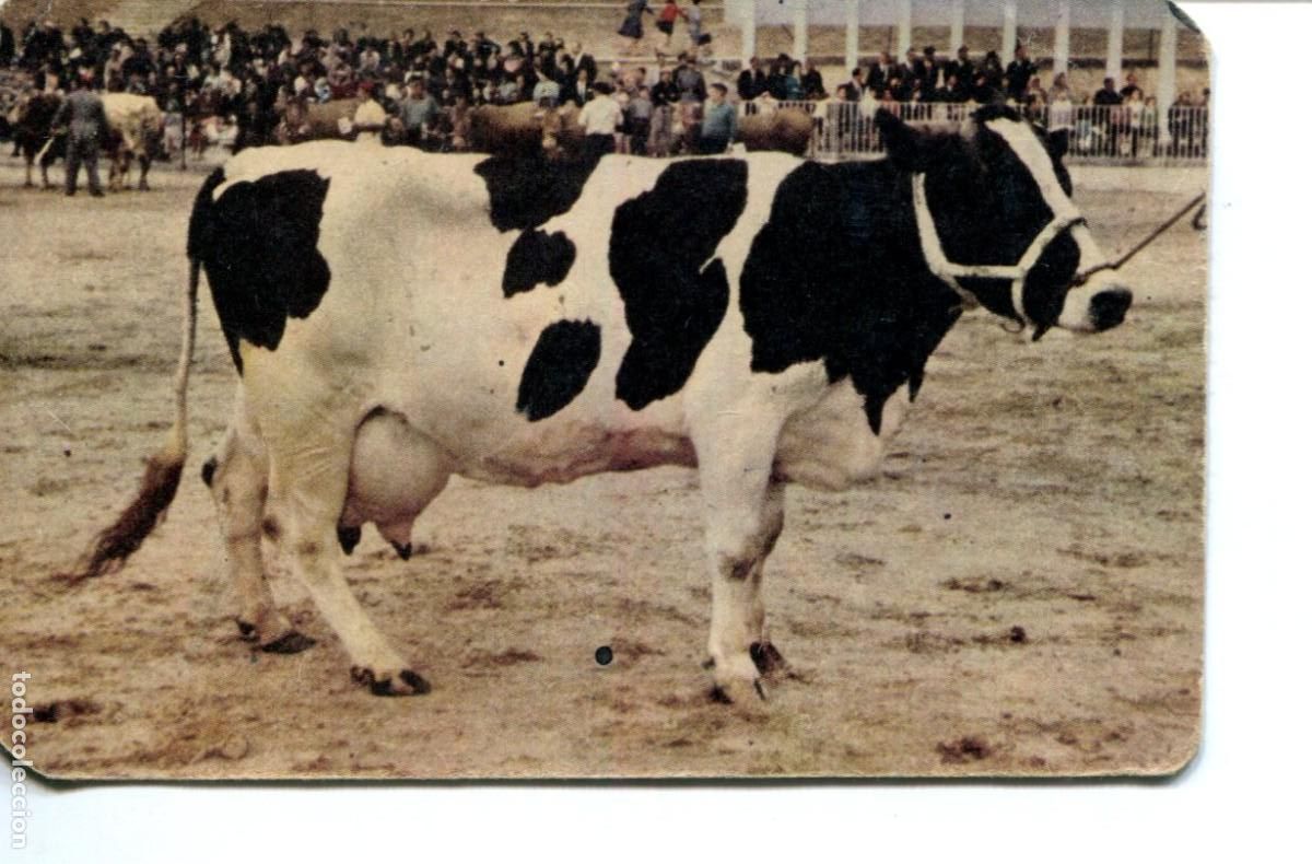 Collectables Calendars: CALENDARIO DE BOLSILLO GRANULADOS DIANA 1963