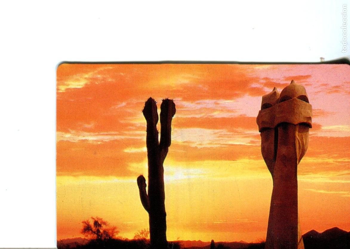 Coleccionismo calendarios: Calendario Caixa de Catalunya 1994. Catalu&ntilde;a. Caja Banco. Un cactus...