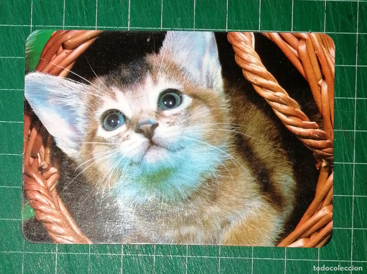 Coleccionismo calendarios: CALENDARIO BOLSILLO, ALMANAQUE. GATO. COMERCIAL LOS PEDROCHES. ULTRAMARINOS. C&Oacute;RDOBA. 1983