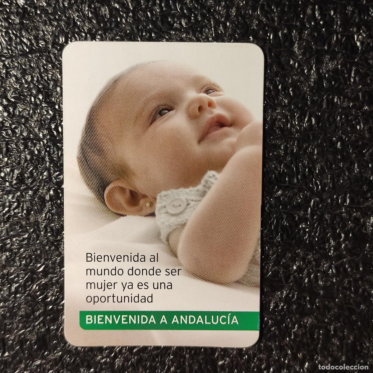 Coleccionismo calendarios: CALENDARIO POLITICO. PSOE 2008 ** BIENVENIDA A ANDALUCIA **
