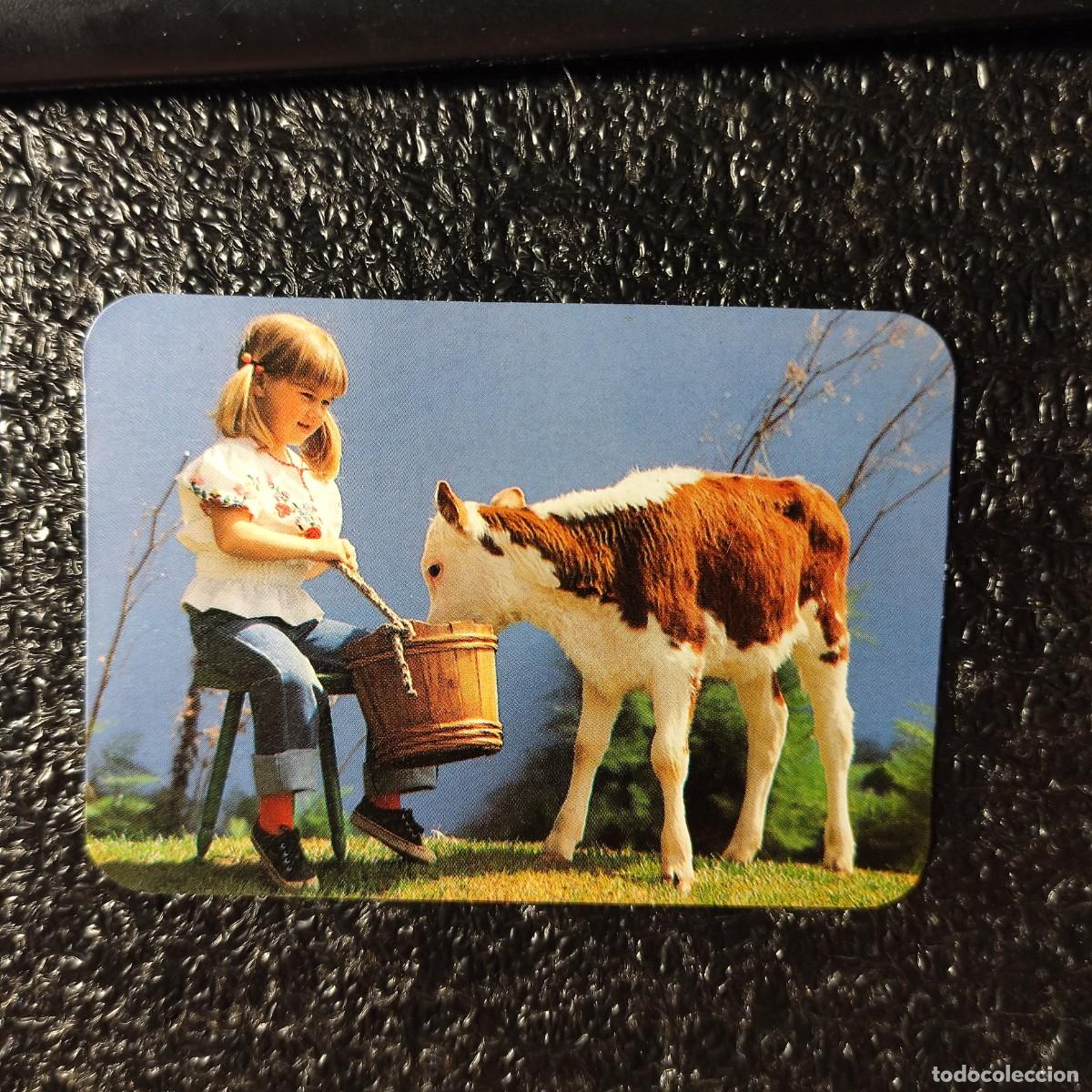 Coleccionismo calendarios: CALENDARIO COCHES . CONCESIONARIO CITROEN . EDUARDO VIDAL 1988 ** NI&Ntilde;OS Y ANIMALES ** T1
