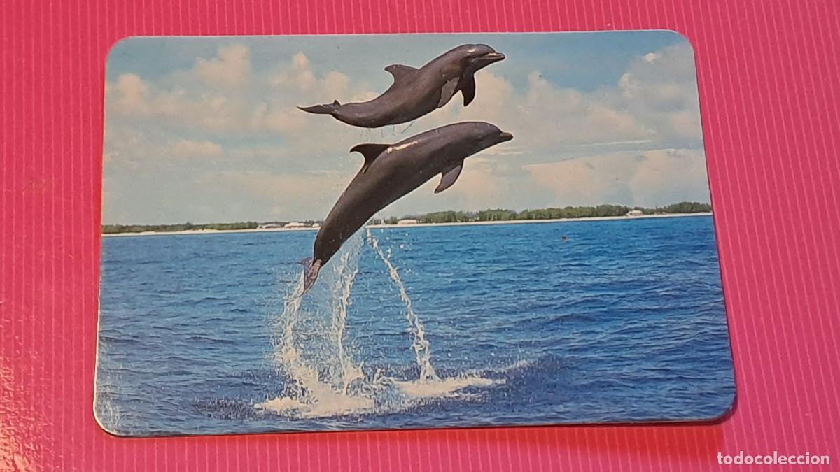 Coleccionismo calendarios: CALENDARIO BOLSILLO DELFINES - A&Ntilde;O 1998 - Foto 1