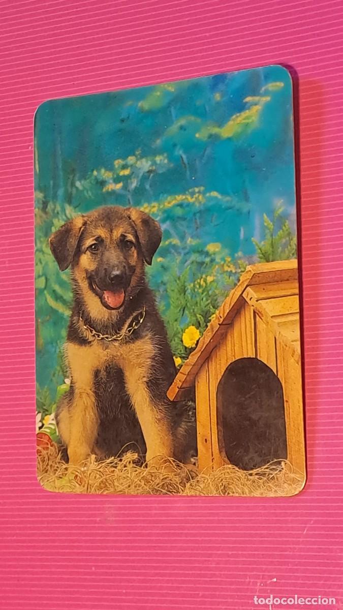 Coleccionismo calendarios: CALENDARIO BOLSILLO CACHORRIT PASTOR ALEMAN - A&Ntilde;O 1995