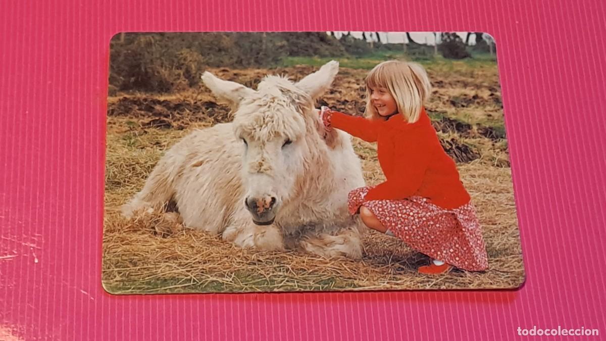 Coleccionismo calendarios: CALENDARIO BOLSILLO NI&Ntilde;A CON PEQUE&Ntilde;O CABALLO - A&Ntilde;O 1997