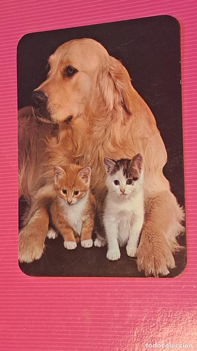 Coleccionismo calendarios: CALENDARIO BOLSILLO MASCOTAS - A&Ntilde;O 1996