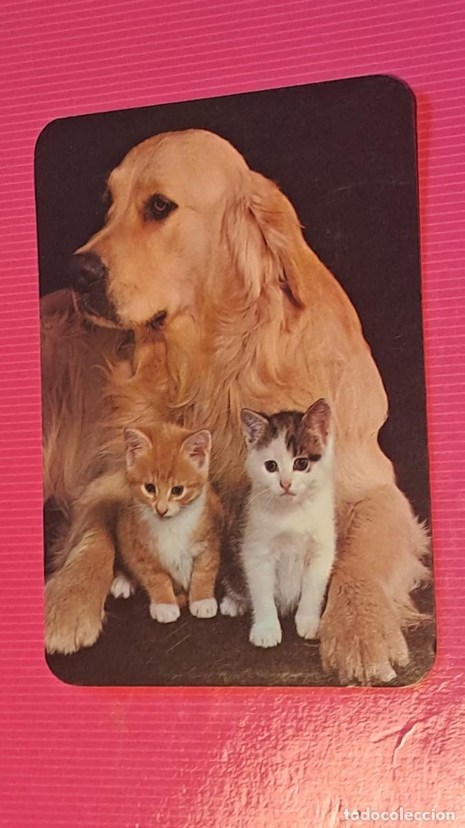 Coleccionismo calendarios: CALENDARIO BOLSILLO MASCOTAS - A&Ntilde;O 1996