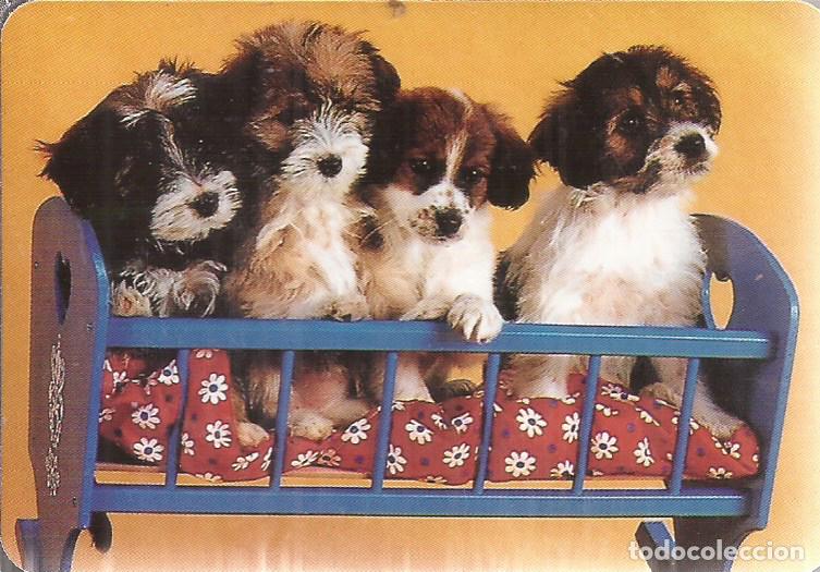 Coleccionismo calendarios: CALENDARIO SERIE A&Ntilde;O 2002 SERIE E.G.C. 67 - Foto 1