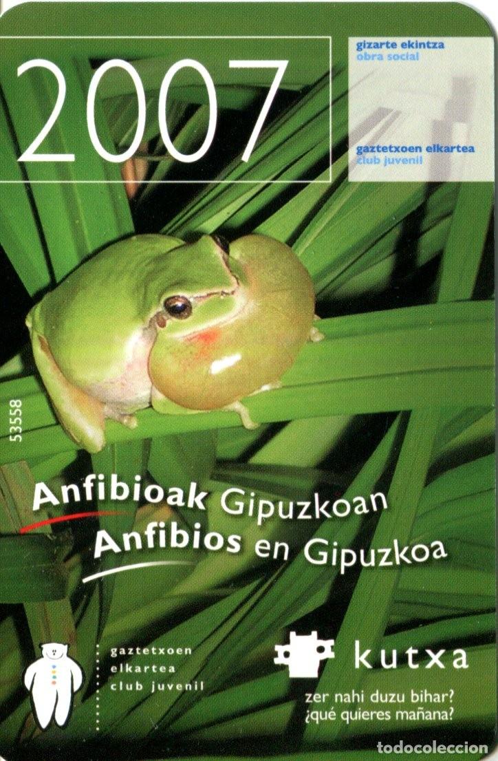 Coleccionismo calendarios: CALENDARIO BANCO KUTXA (CAJA GIPUZKOA DONOSTIA) 2007 CLUB JUVENIL (Anfibios)