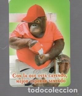 Coleccionismo calendarios: CALENDARIOS DE MONO DE EDITO BO N&ordm; 532 DE A&Ntilde;O 2013 SUS PUBLICIDAT