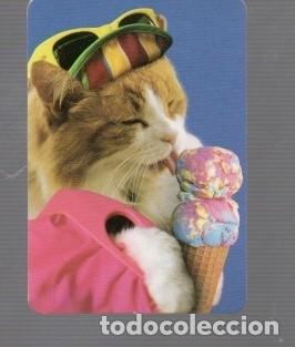 Coleccionismo calendarios: CALENDARIOS DE GATPCOME HELADO DE EDITO BO N&ordm; 538 DE A&Ntilde;O 2013 SUS PUBLICIDAT