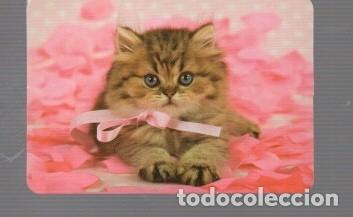 Coleccionismo calendarios: CALENDARIOS DE GATO DE EDITO BO N&ordm; 541 DE A&Ntilde;O 2013 SUS PUBLICIDAT