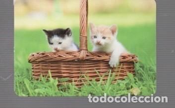 Coleccionismo calendarios: CALENDARIOS DE GATOS DE EDITO BO N&ordm; 542 DE A&Ntilde;O 2013 SUS PUBLICIDAT