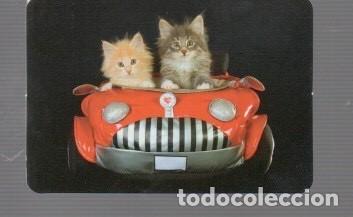 Coleccionismo calendarios: CALENDARIOS DE GATOS DE EDITO BO N&ordm; 543 DE A&Ntilde;O 2013 SUS PUBLICIDAT
