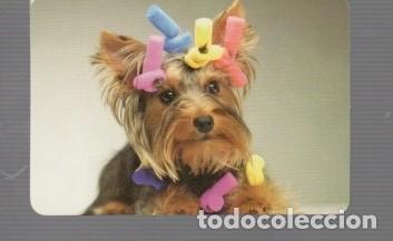 Coleccionismo calendarios: CALENDARIOS DE PERRO DE EDITO BO N&ordm; 540 DE A&Ntilde;O 2013 SUS PUBLICIDAT