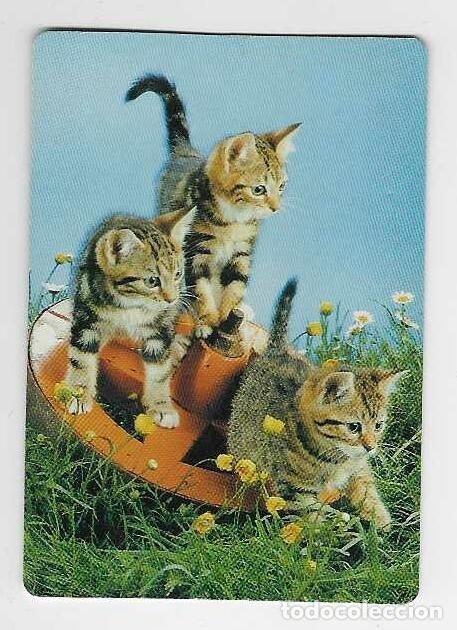 Coleccionismo calendarios: CALENDARIO BOLSILLO A&Ntilde;O 2005 GATOS - FUEGOS ARTIFICALES PEIRO - VER FOTO REVERSO