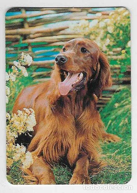 Coleccionismo calendarios: CALENDARIO BOLSILLO A&Ntilde;O 2005 PERRO - FUEGOS ARTIFICALES PEIRO - VER FOTO REVERSO