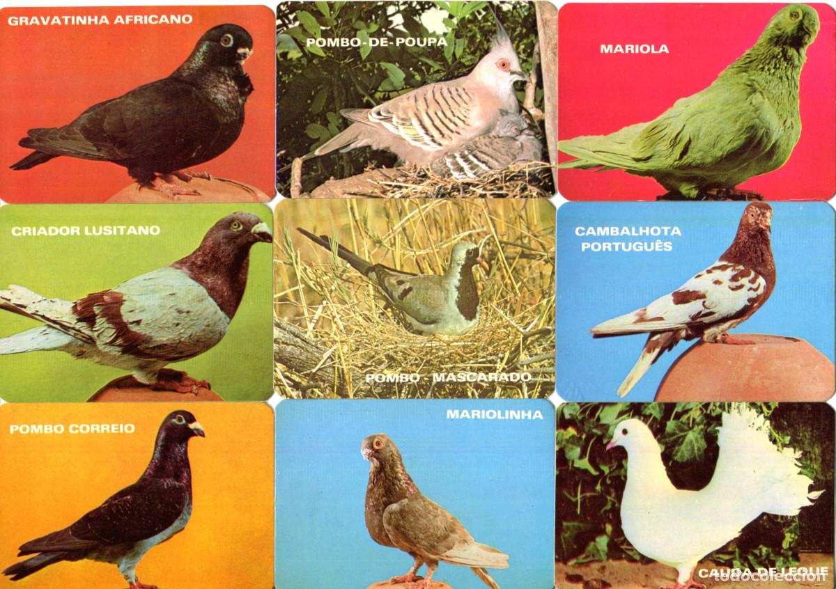Coleccionismo calendarios: LOTE 9 CALENDARIOS TEMA PALOMAS A&Ntilde;O 1986 PORTUGAL