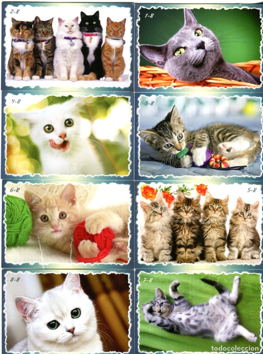 Coleccionismo calendarios: COLECCION DE 8 CALENDARIOS TEMA ANIMALES GATOS A&Ntilde;O 2012 EXTRANJERO