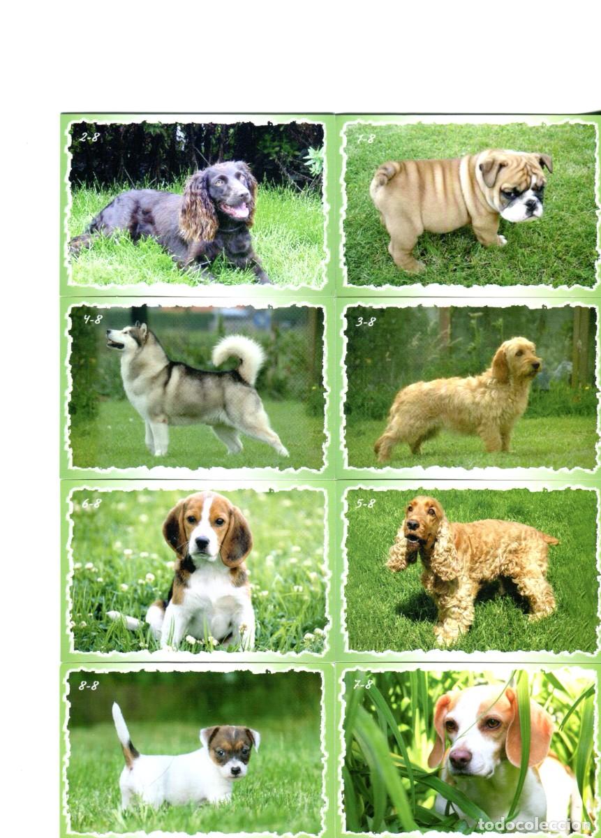 Coleccionismo calendarios: COLECCION DE 8 CALENDARIOS TEMA ANIMALES PERROS A&Ntilde;O 2012 EXTRANJERO