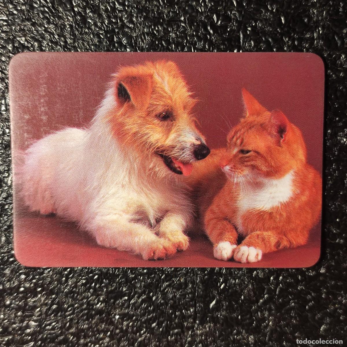 Sammeln von Kalendern: CALENDARIO DE BOLSILLO . GATOS Y PERROS 1990 ** IMPRENTA SEVILLANA ** T3