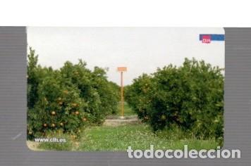 Coleccionismo calendarios: CALENDARIO DE CASA FOURNIER DEL A&Ntilde;O 2010ANTES DE EXCAVAR