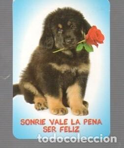Coleccionismo calendarios: CALENDARIO DE PERRO LA VALE SER FELIZ DEL CASA BO, N&ordm; 572 DEL A&Ntilde;O 2013 SIN PUBLICIDAD