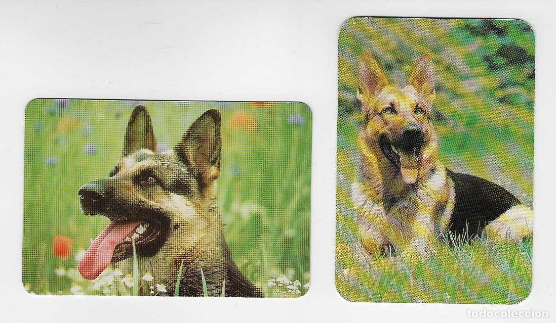 Coleccionismo calendarios: 2 CALENDARIOS DE BOLSILLO A&Ntilde;OS 1998 - 1999 PERROS - PASTOR ALEM&Aacute;N - VER FOTO REVERSOS