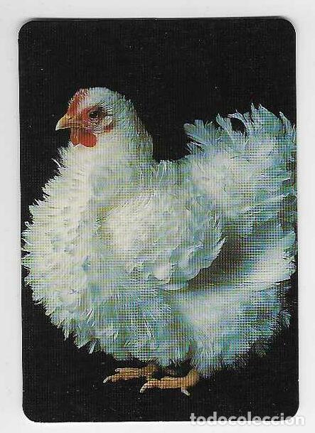 Coleccionismo calendarios: CALENDARIO DE BOLSILLO DE SERIE A&Ntilde;O 2000 FAUNA - GALLINA - SIN PUBLICIDAD - VER FOTO REVERSO